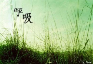老妈来了，周末陪游。