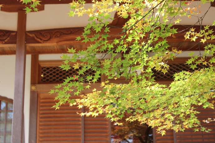 京都 奈良